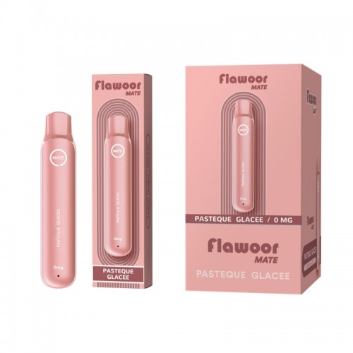 Flawoor Mate - Pasteque Glacee 600 Puff Bar